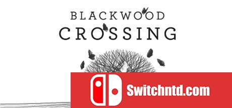 《黑木交叉（Blackwood Crossing）》RELOADED镜像版[EN]_0