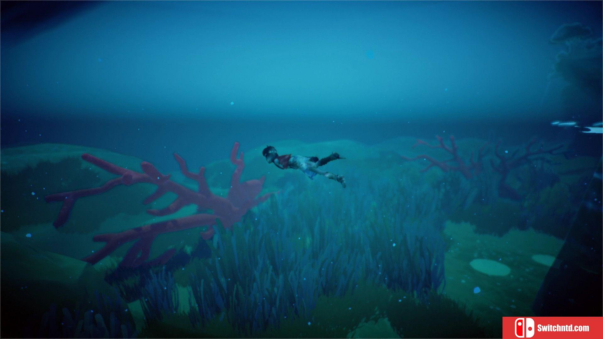 《RiME（RiME）》3DM免安装未加密版+BALDMAN单独未加密补丁[JP/EN]_12
