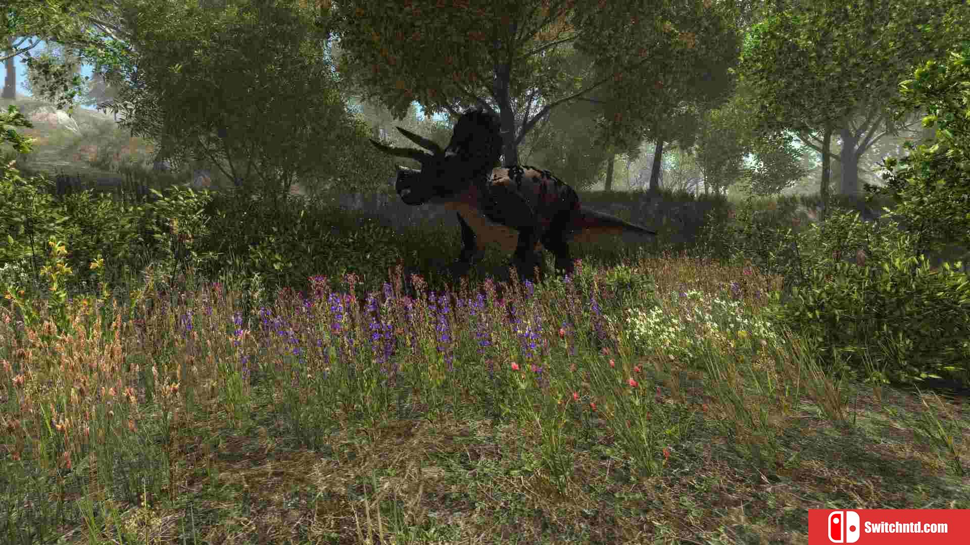 《恐龙森林（Dinosaur Forest）》HI2U镜像版[EN]_5