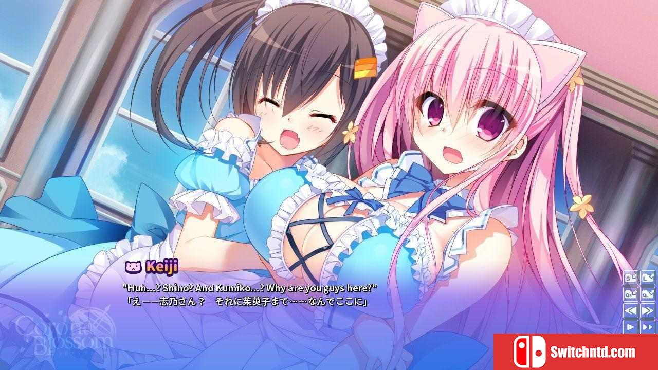 《Corona Blossom Vol.2（Corona Blossom Vol.2）》DARKSiDERS镜像版[JP/EN]_2