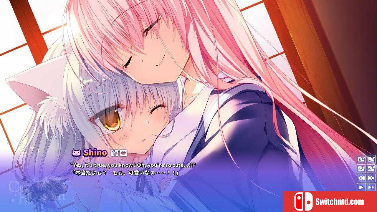 《Corona Blossom Vol.2（Corona Blossom Vol.2）》DARKSiDERS镜像版[JP/EN]_3