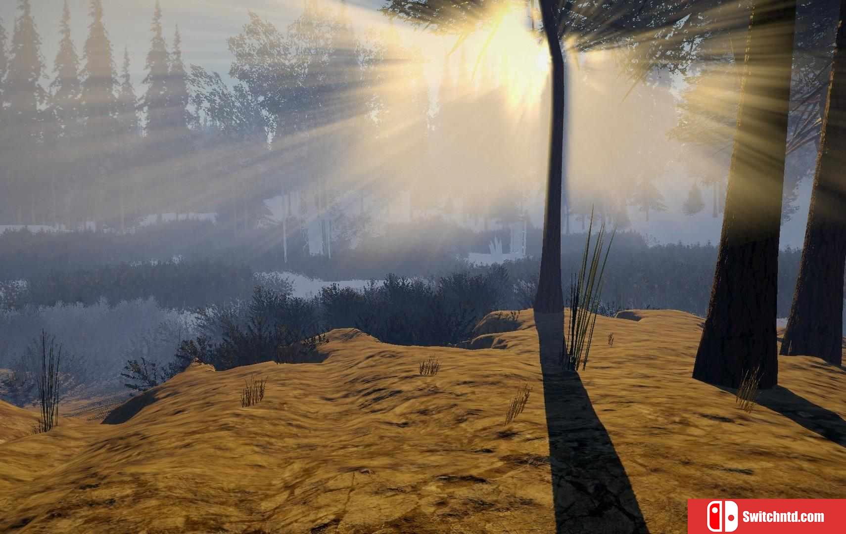 《魔鬼的感觉（Sense of The Devil）》HI2U镜像版[EN]_4