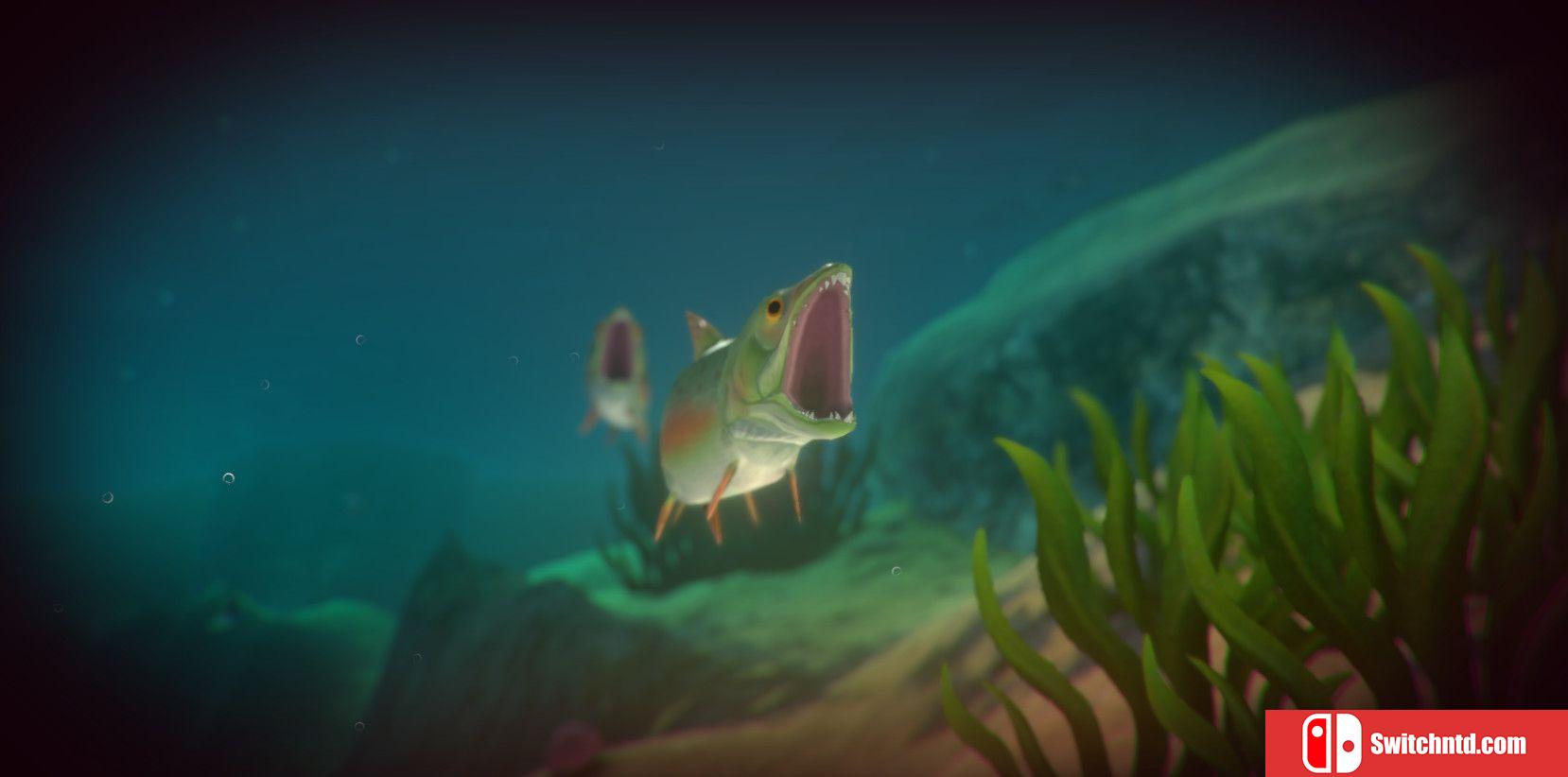 《海底大猎杀（Feed and Grow: Fish）》v0.9.0 免安装未加密版[EN]_4