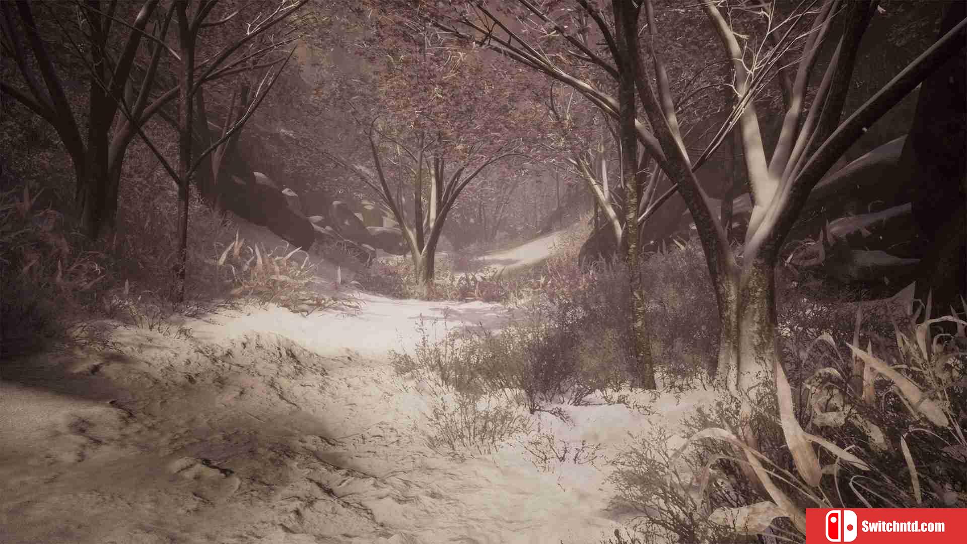 《细雨路径：记忆幻觉（Drizzlepath: Deja Vu）》SKIDROW镜像版[EN]_2