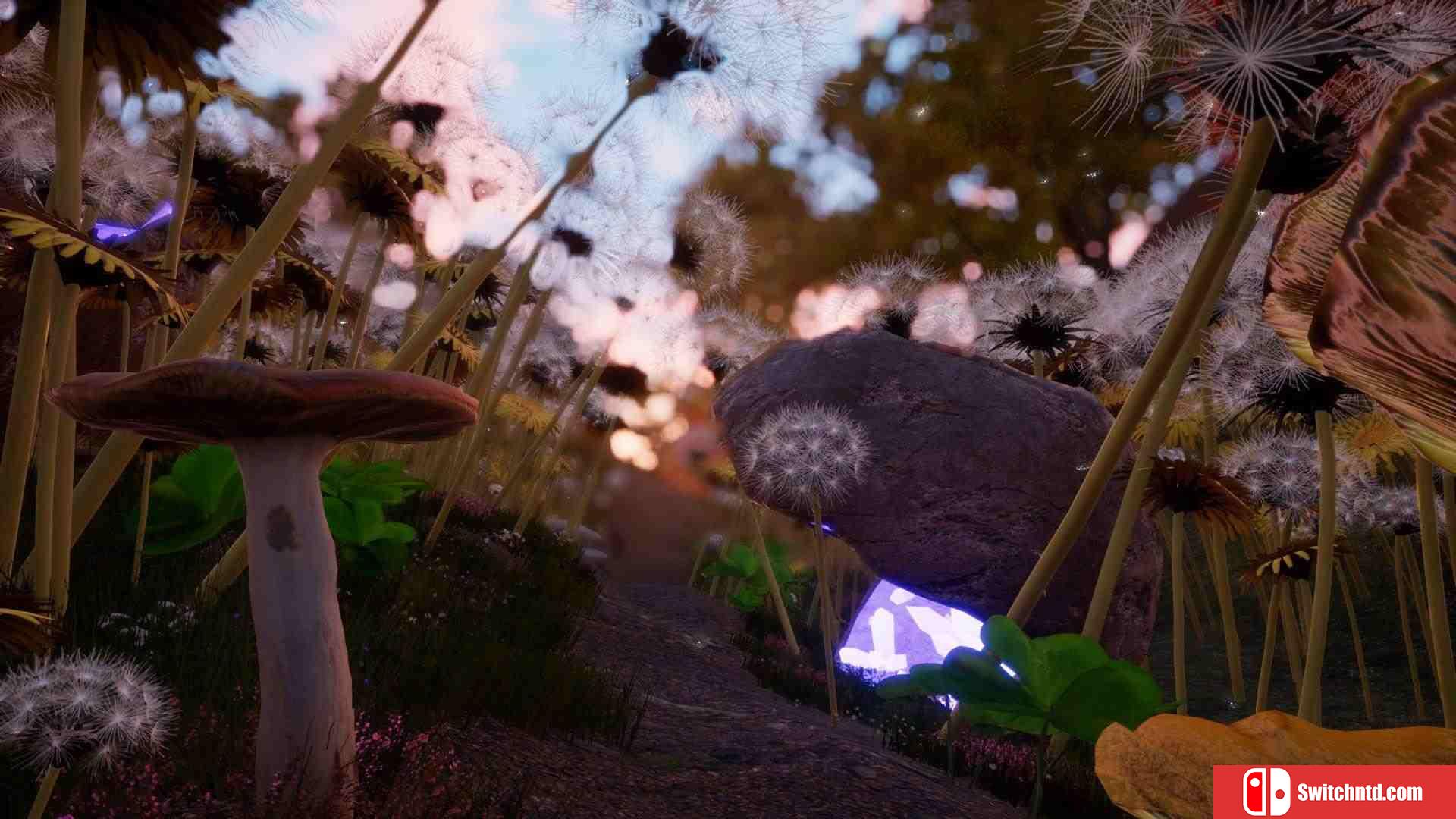 《小径迷踪（Trail Breaking）》PLAZA镜像版[EN]_5