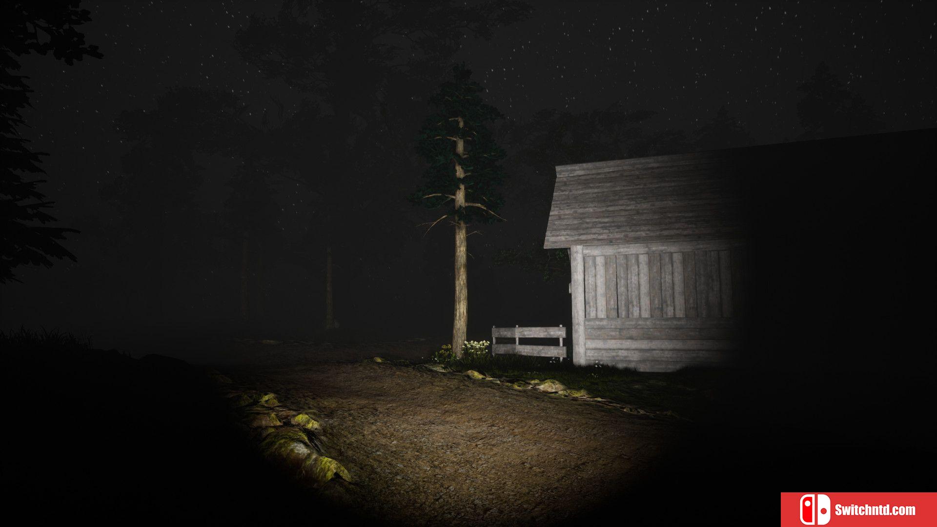 《异常研究：秘密森林（Study of Unusual: Forest of Secrets）》PLAZA镜像版[EN]_5