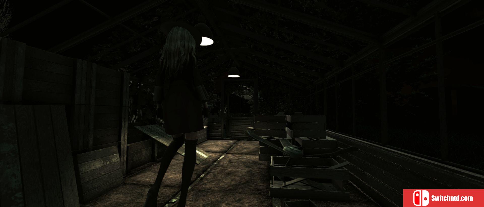 《玩具屋（Dollhouse）》官方中文 v1.4.0 PLAZA镜像版[CN/EN/JP]_3
