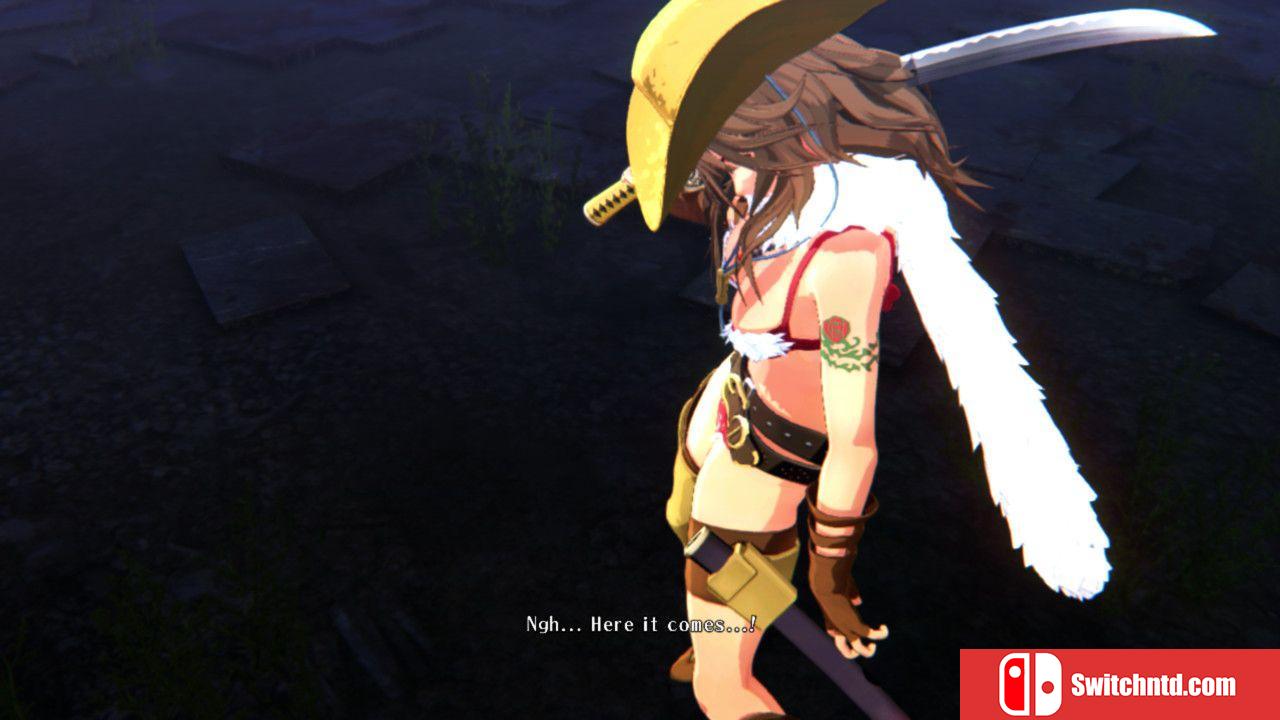 《御姐玫瑰：起源（Onee Chanbara ORIGIN）》官方中文 v1.04 DARKSiDERS镜像版[CN/EN/JP]_2
