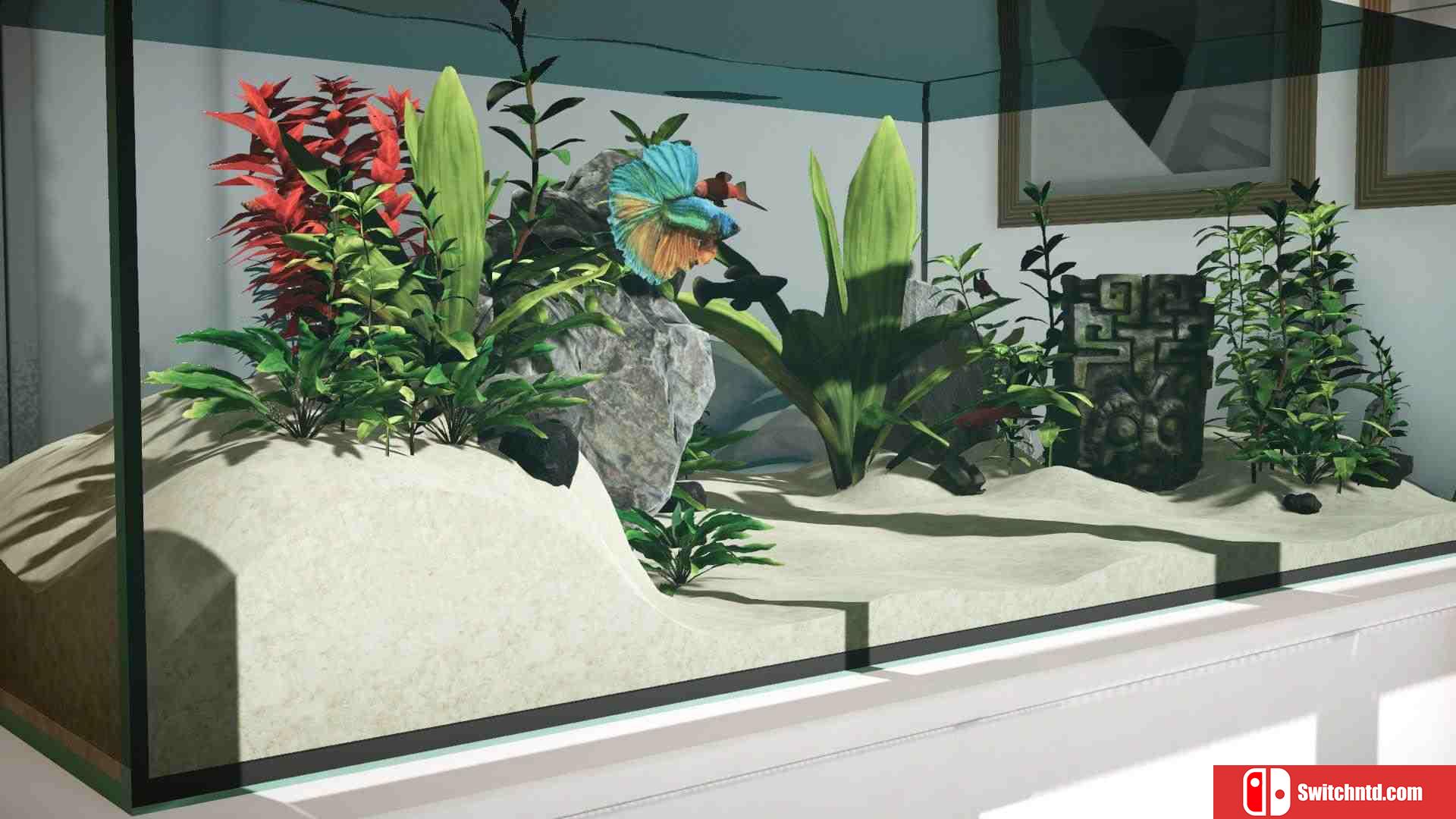 《水族箱设计师（Aquarium Designer）》官方中文 DARKSiDERS镜像版[CN/EN]_4