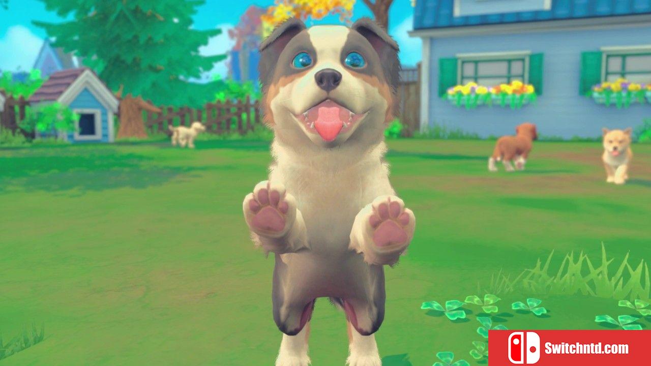 《我的世界：小狗和小猫（My Universe - Puppies Kittens）》DARKSiDERS镜像版[CN/TW/EN]_4