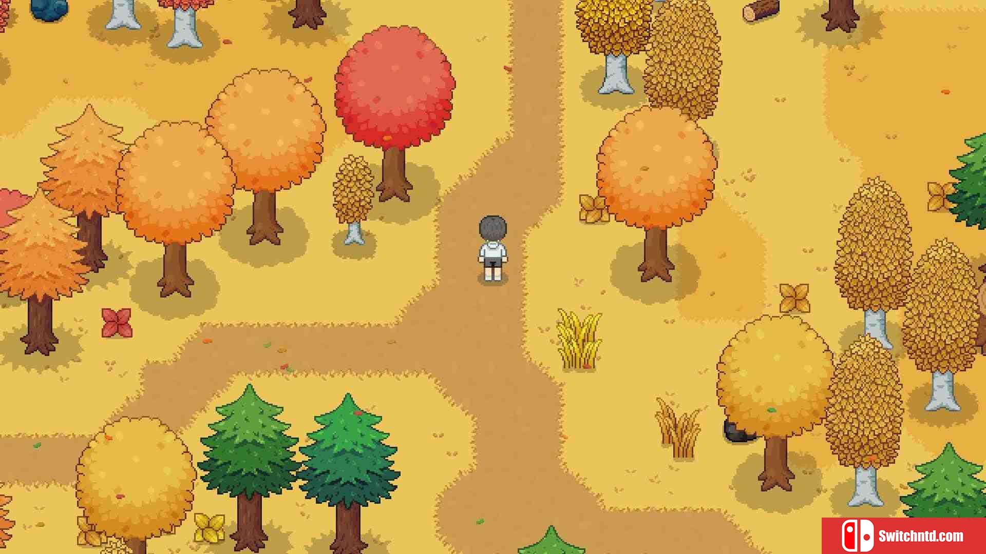 《妮娜诺 : 梦之牧场（Ninano: Dream Ranch）》官方中文 v1.1.1 P2P硬盘版[CN/TW/EN/JP]_2