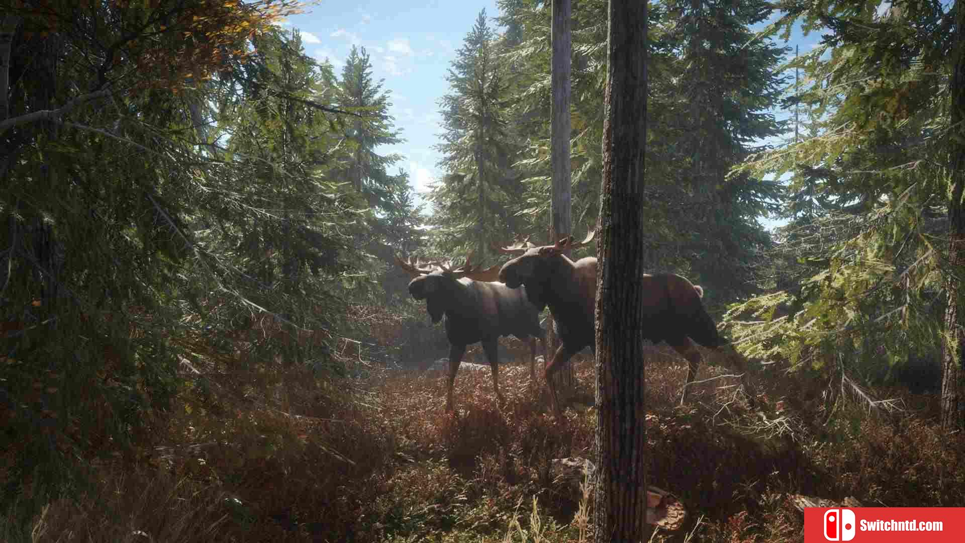 《猎人：荒野的召唤（theHunter: Call of the Wild）》集成阿斯基岭DLC TENOKE镜像版[CN/EN/JP]_1