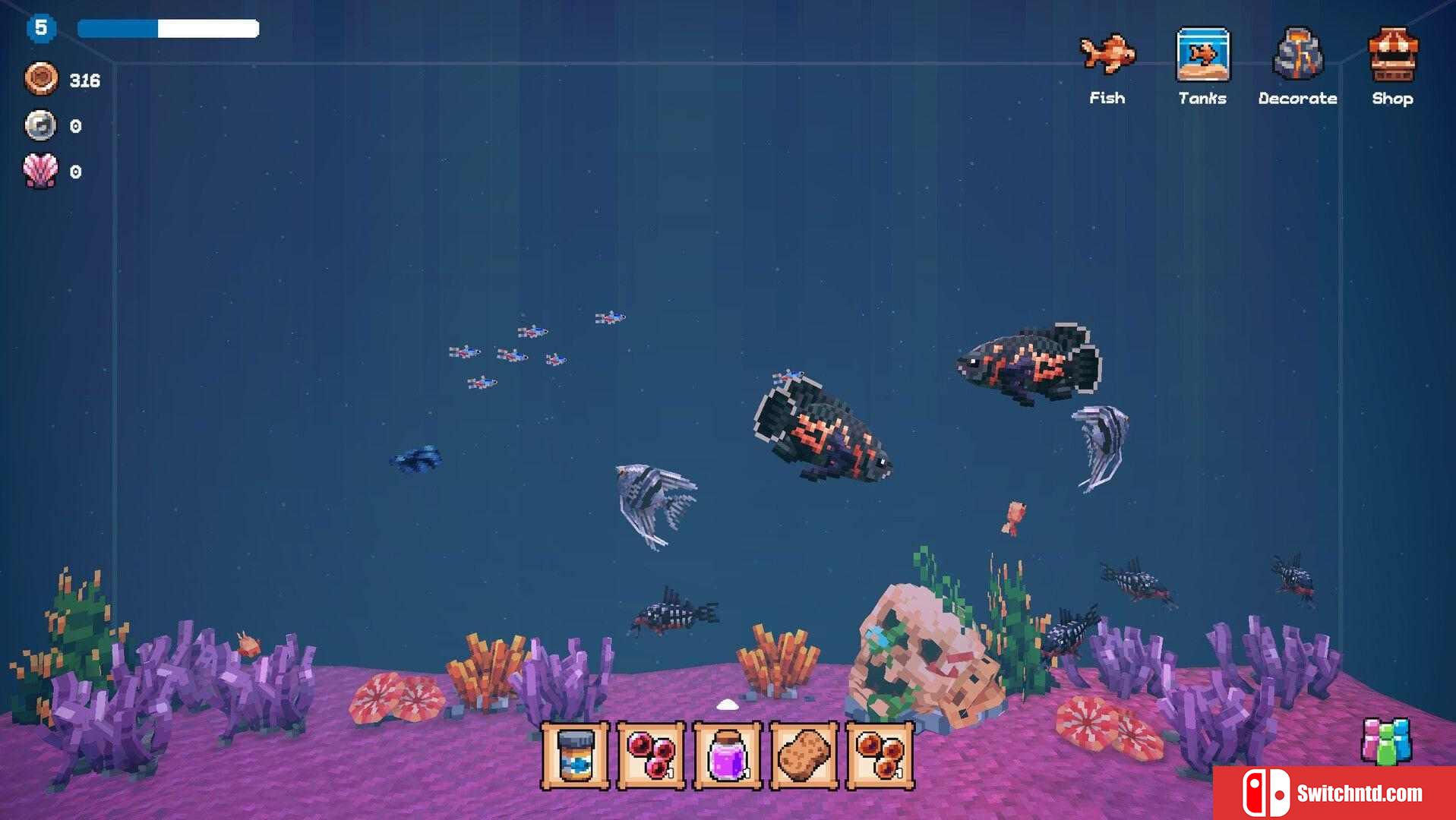 《全球鱼友俱乐部：放置好时光（Tiny Aquarium: Social Fishkeeping）》P2P硬盘版[CN/TW/EN/JP]_5