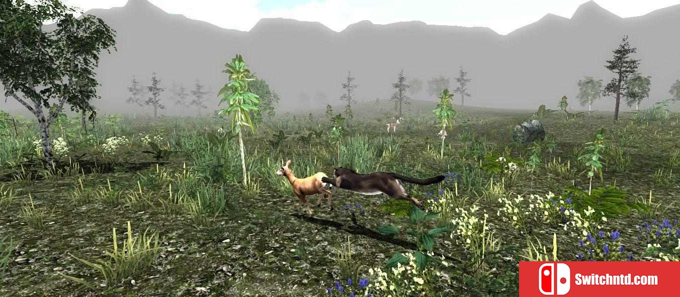 《野生动物：美洲狮的生活（Untamed: Life Of A Cougar）》v2.0 三语言 ALiAS硬盘版[EN]_3