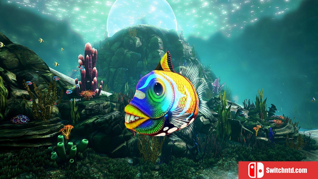 《浮游生物（planktOs）》PLAZA破解版[EN]_4