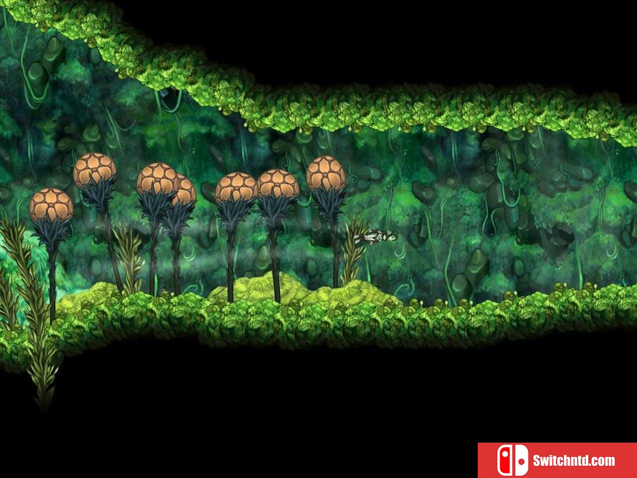 《安琪拉之歌（Aquaria）》v2.0.0.1 GOG版 CORE破解版[EN]_3