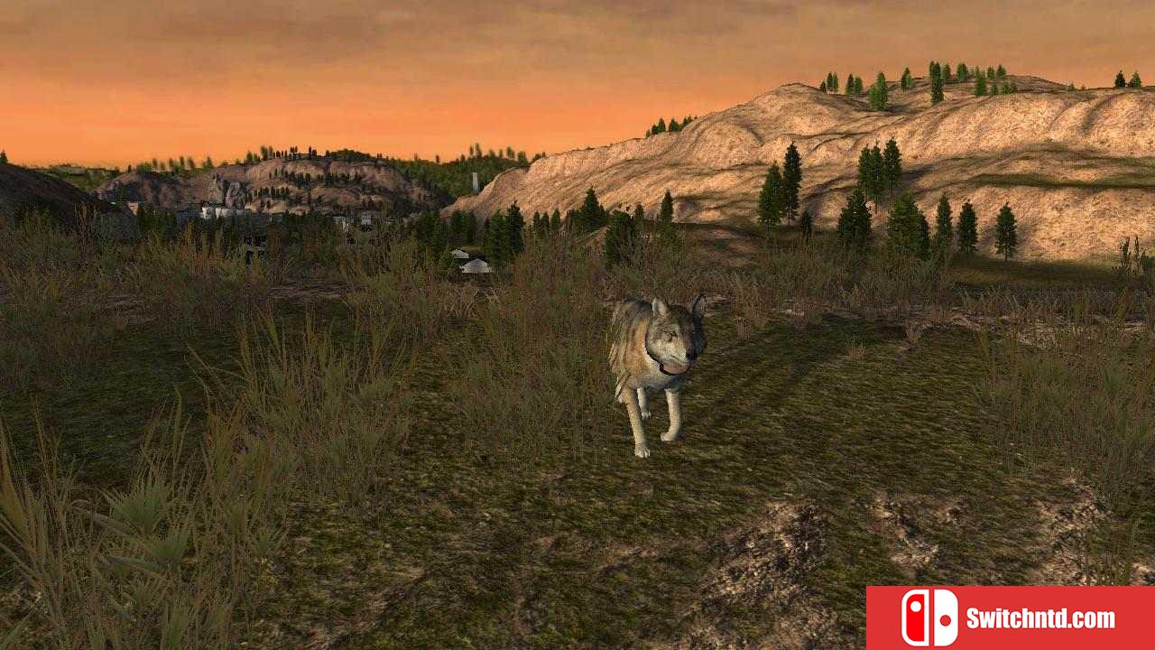 《野狼谜踪（WolfQuest）》ALiAS硬盘版[EN]_1