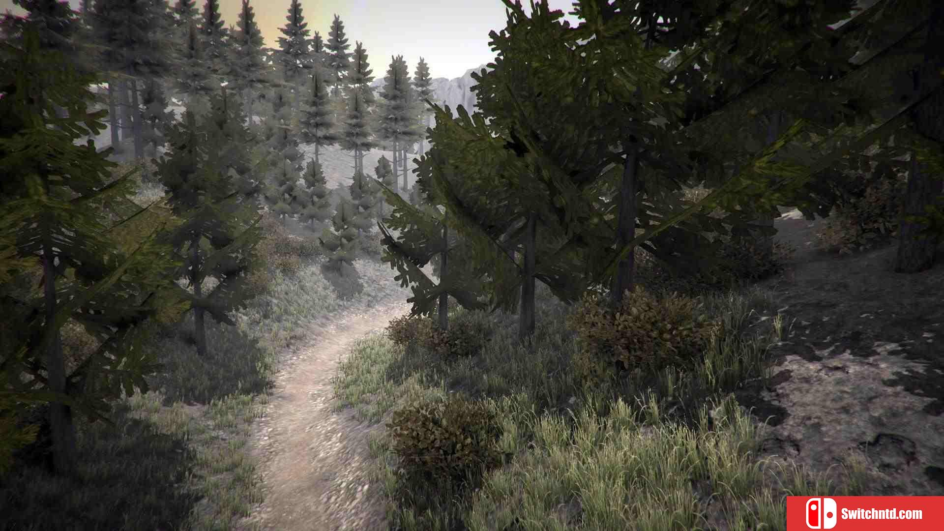 《山地车下坡模拟（MTB Downhill Simulator）》HI2U破解版[EN]_1