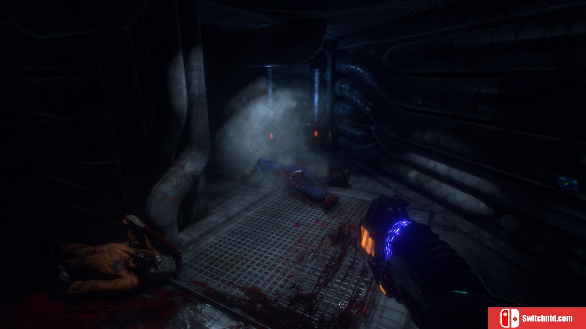《网络奇兵：重制版（System Shock）》Pre-Alpha测试版 SAFTPRESSE破解版[EN]_7