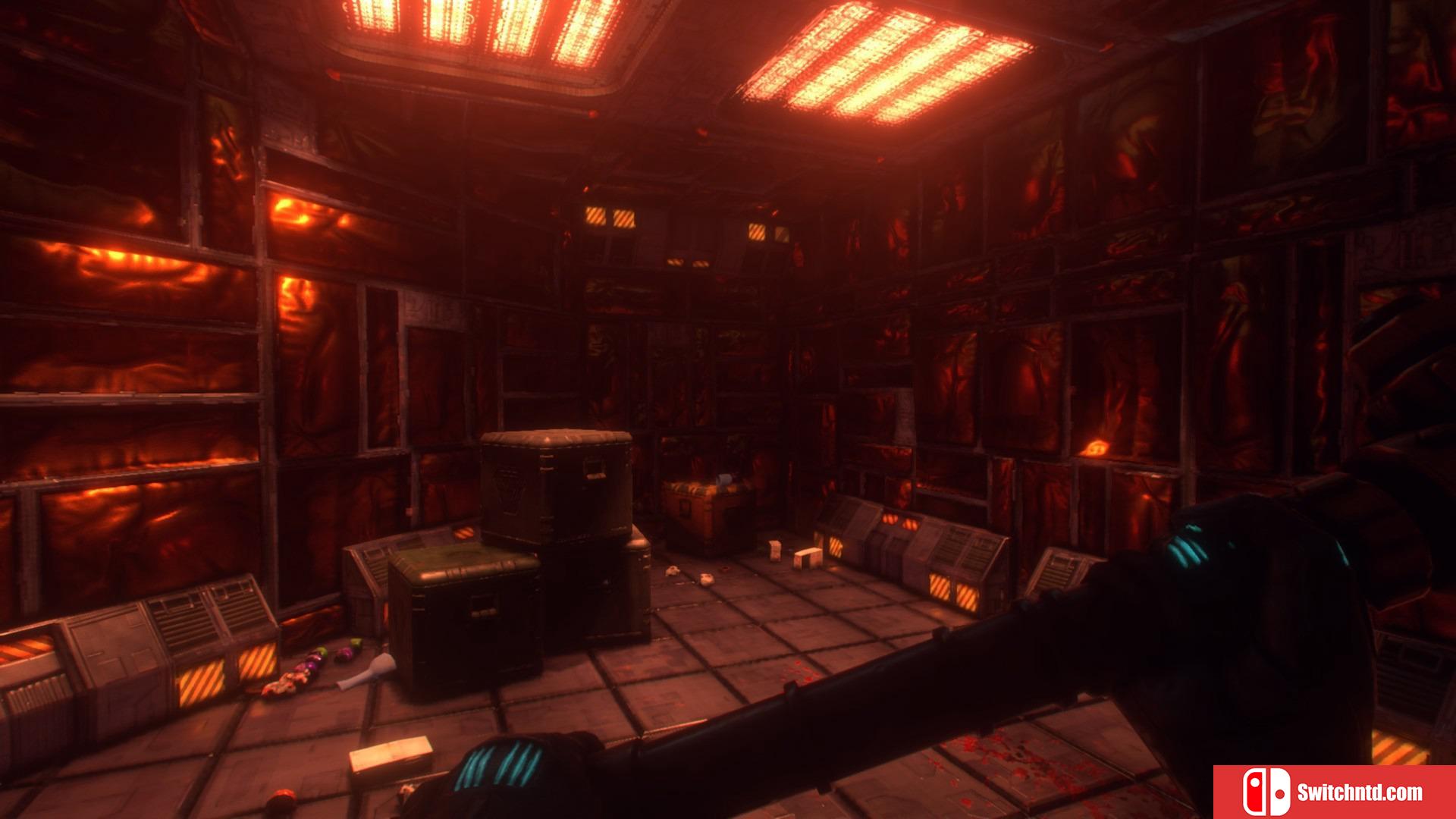 《网络奇兵：重制版（System Shock）》Pre-Alpha测试版 SAFTPRESSE破解版[EN]_8