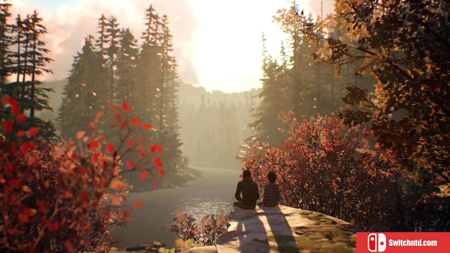 《奇异人生2（Life is Strange 2）》官方中文 完全版 EMPRESS镜像版[CN/EN][更新修正补丁]_5