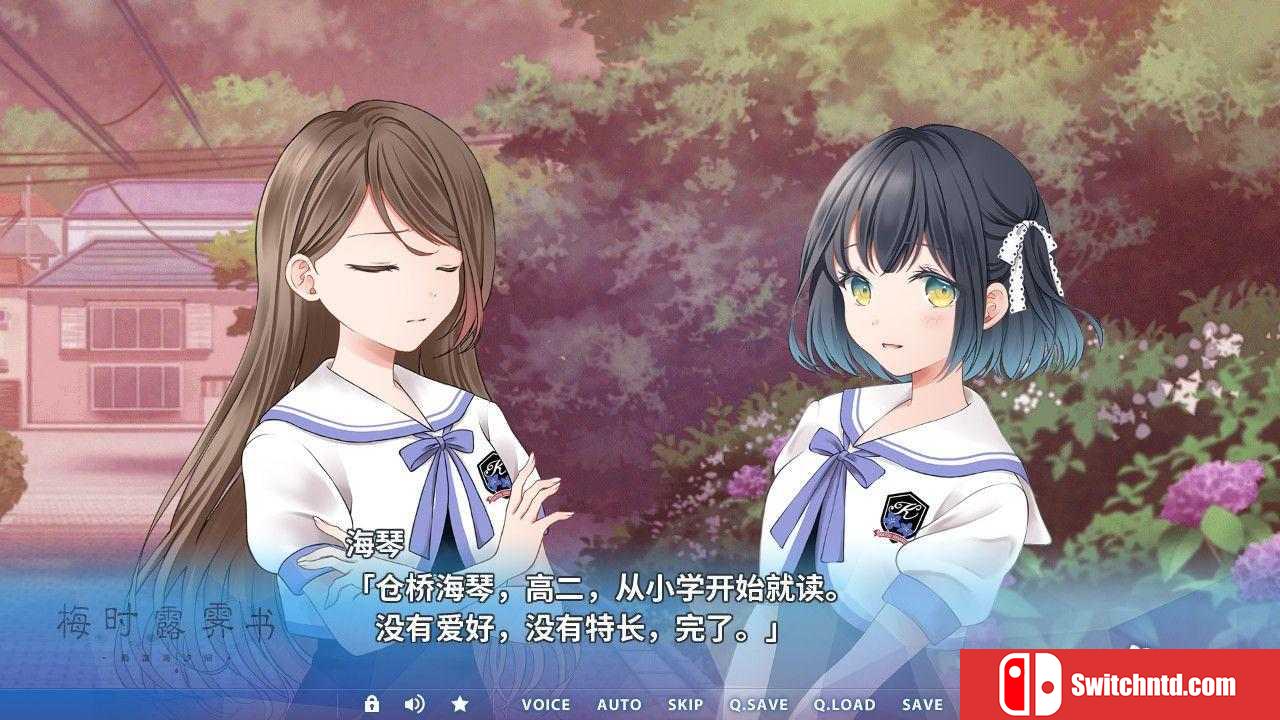 《梅时露霁书~雨潺海汐间~（Letters From a Rainy Day）》官方中文 DARKSiDERS镜像版[CN/EN/JP]_1