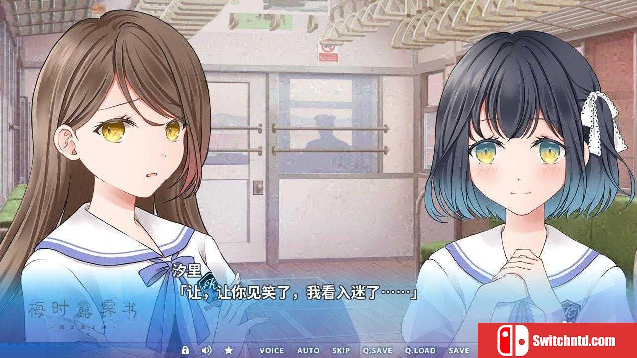 《梅时露霁书~雨潺海汐间~（Letters From a Rainy Day）》官方中文 DARKSiDERS镜像版[CN/EN/JP]_2