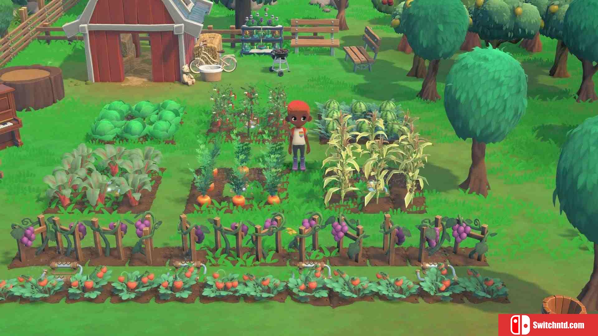 《哈克小镇（Hokko Life Farming）》官方中文 Early Access P2P硬盘版[CN/TW/EN]_3