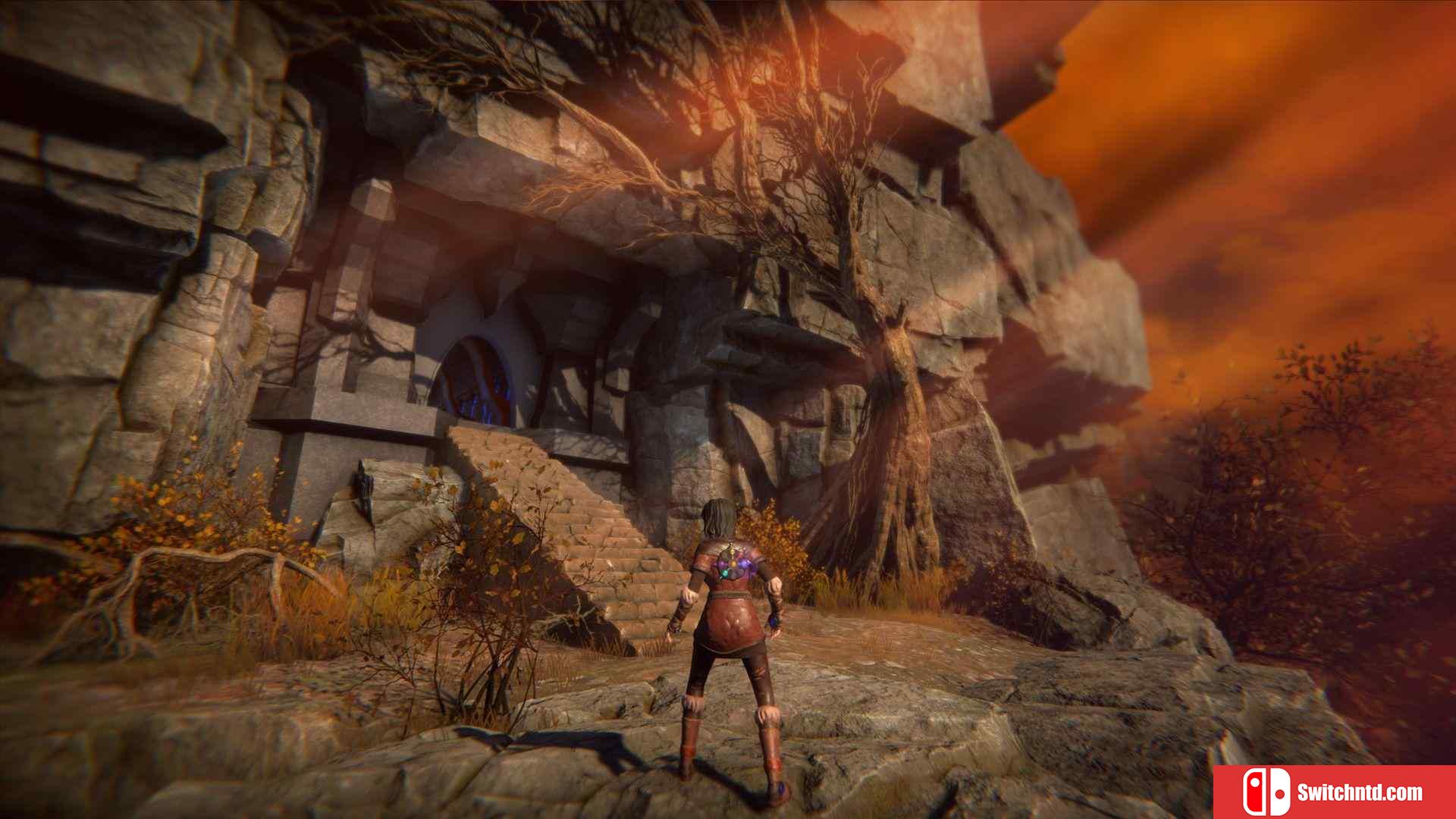 《生命之种（Seed of Life）》官方中文 CODEX镜像版[CN/EN]_4