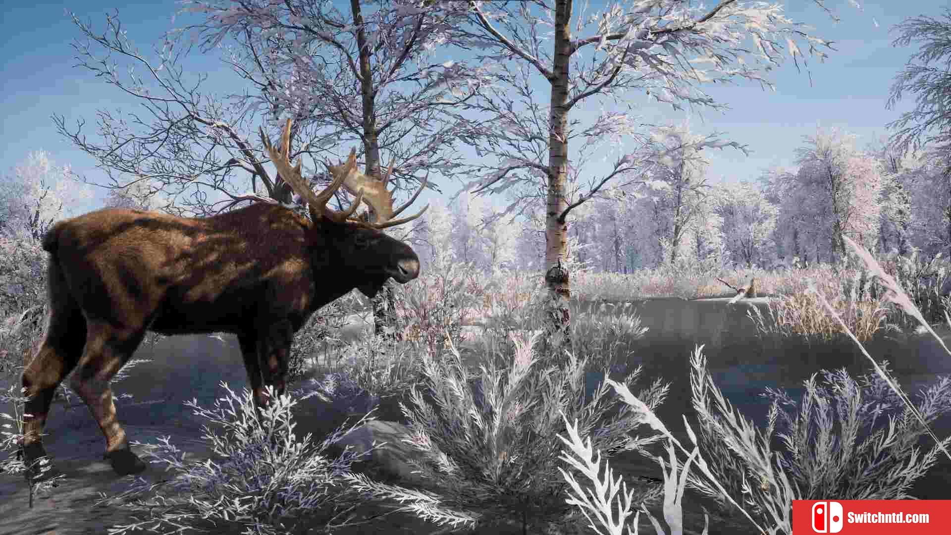 《中世纪王朝（Medieval Dynasty）》官方中文 集成自然回声DLC RUNE镜像版[CN/EN/JP]_2