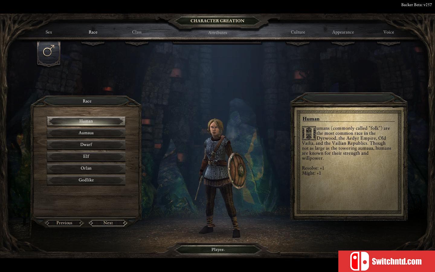 《永恒之柱（Pillars of Eternity）》八国语言 PROPHET破解版[EN]_3