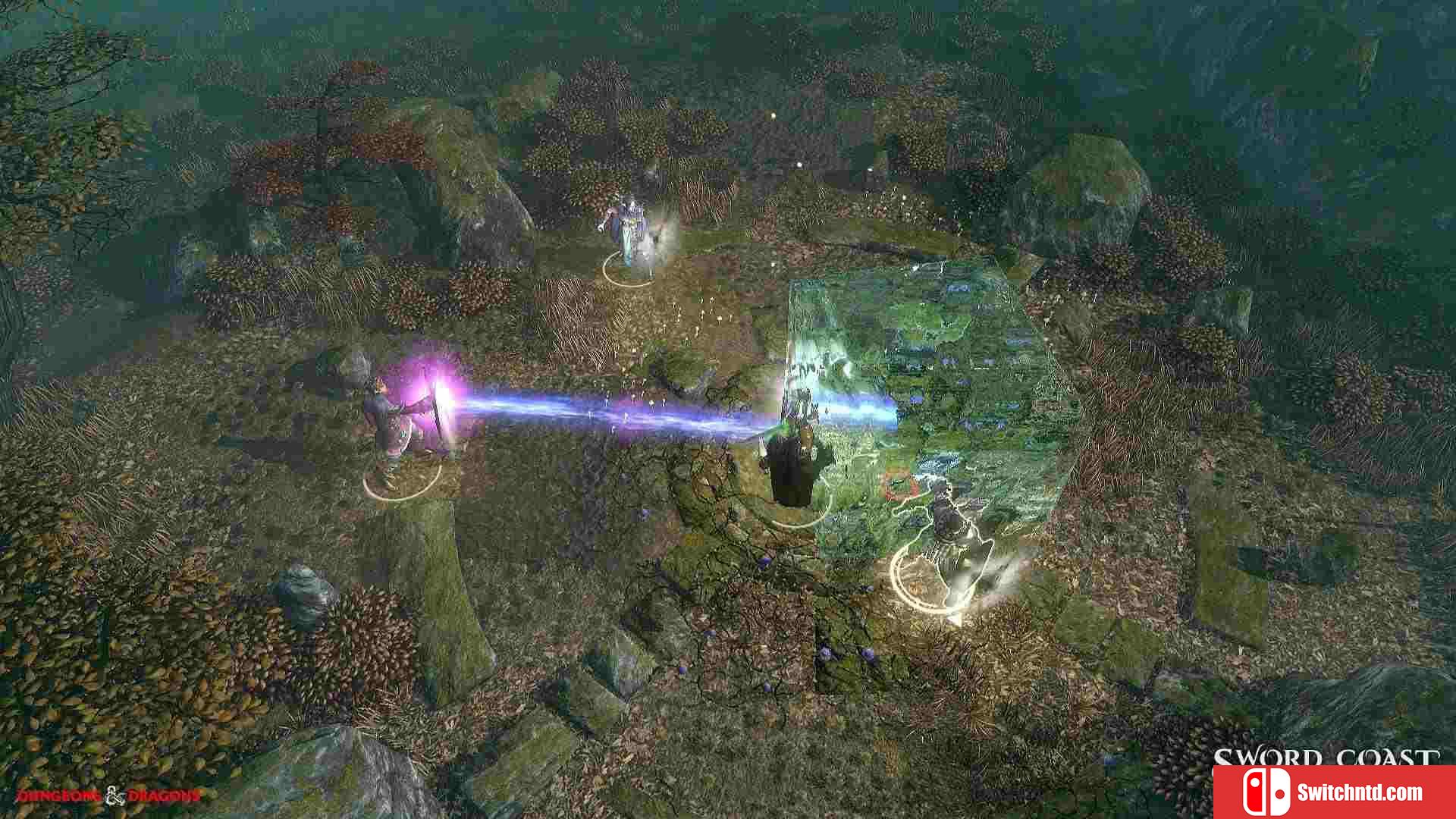 《剑湾传奇（Sword Coast Legends）》集成恶魔之怒DLC CODEX破解版[EN]_2