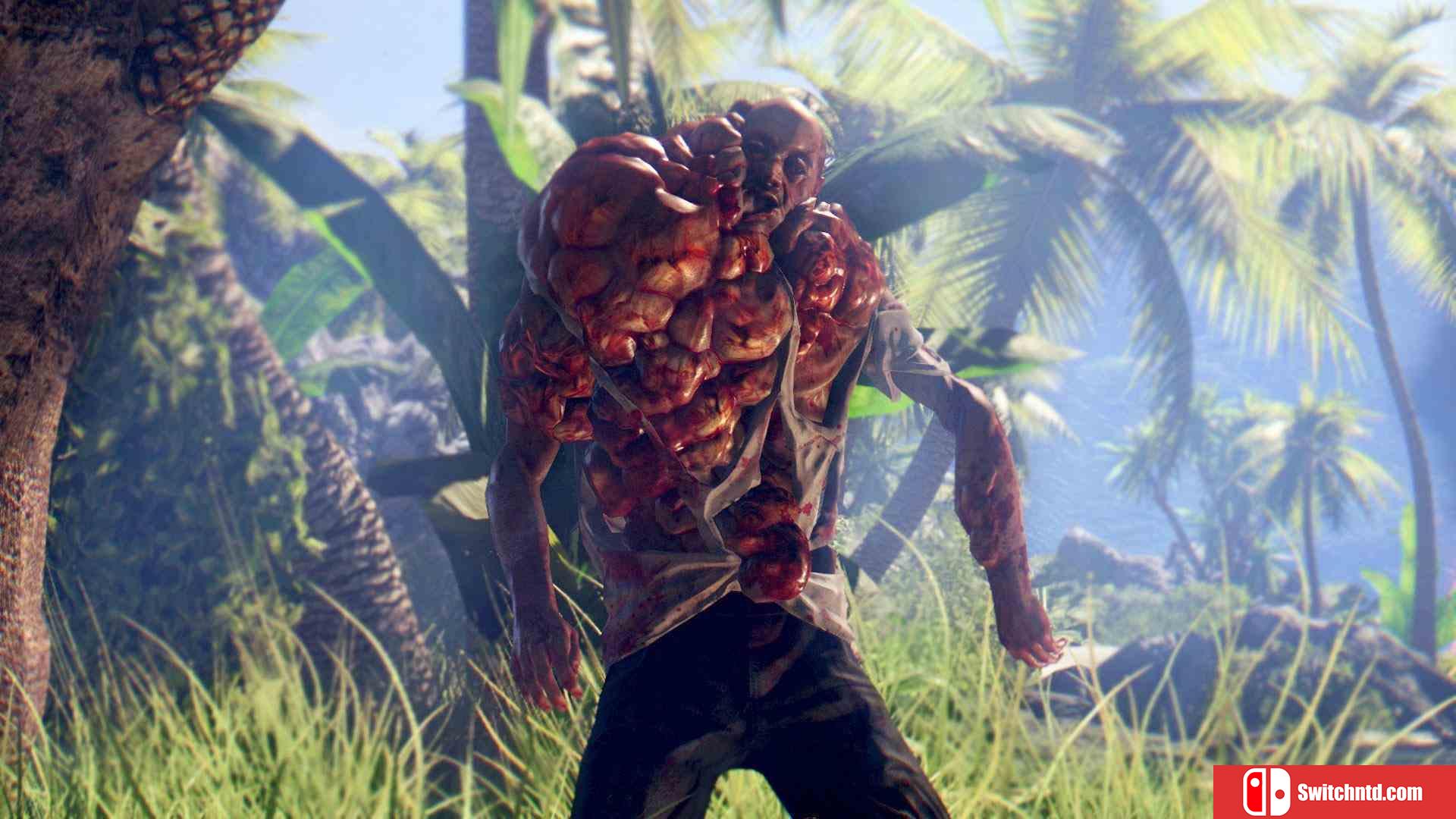 《死亡岛：终极版（Dead Island Definitive Edition）》八国语言 PROPHET破解版[EN]_1