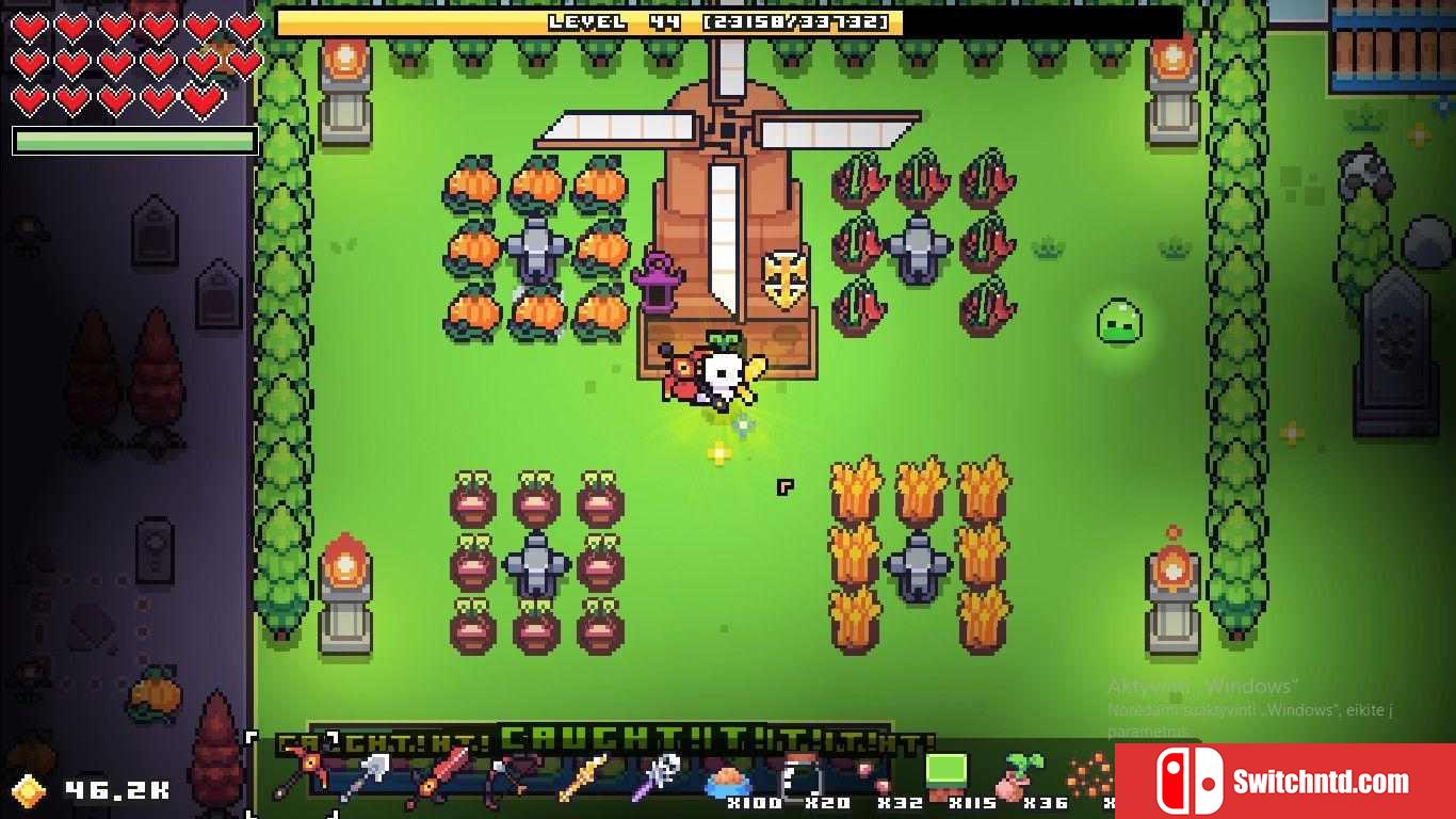 《浮岛物语（Forager）》官方中文 集成Nuclear升级 v4.1.8 rG硬盘版[CN/TW/EN/JP]_2
