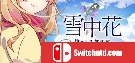 《雪中花（Flower in the Snow Resurrection）》官方中文 DARKSiDERS镜像版[CN/TW/EN]_0