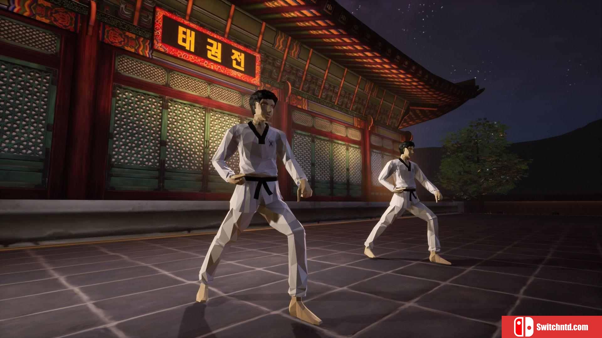 《跆拳道虚拟示范团（Taekwondo Demonstration Team Simulator）》TiNYiSO镜像版[CN/EN]_5