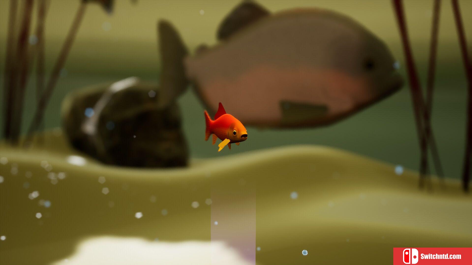 《鱼类游戏（Fish Game）》v00.02.79 TENOKE镜像版[EN]_1
