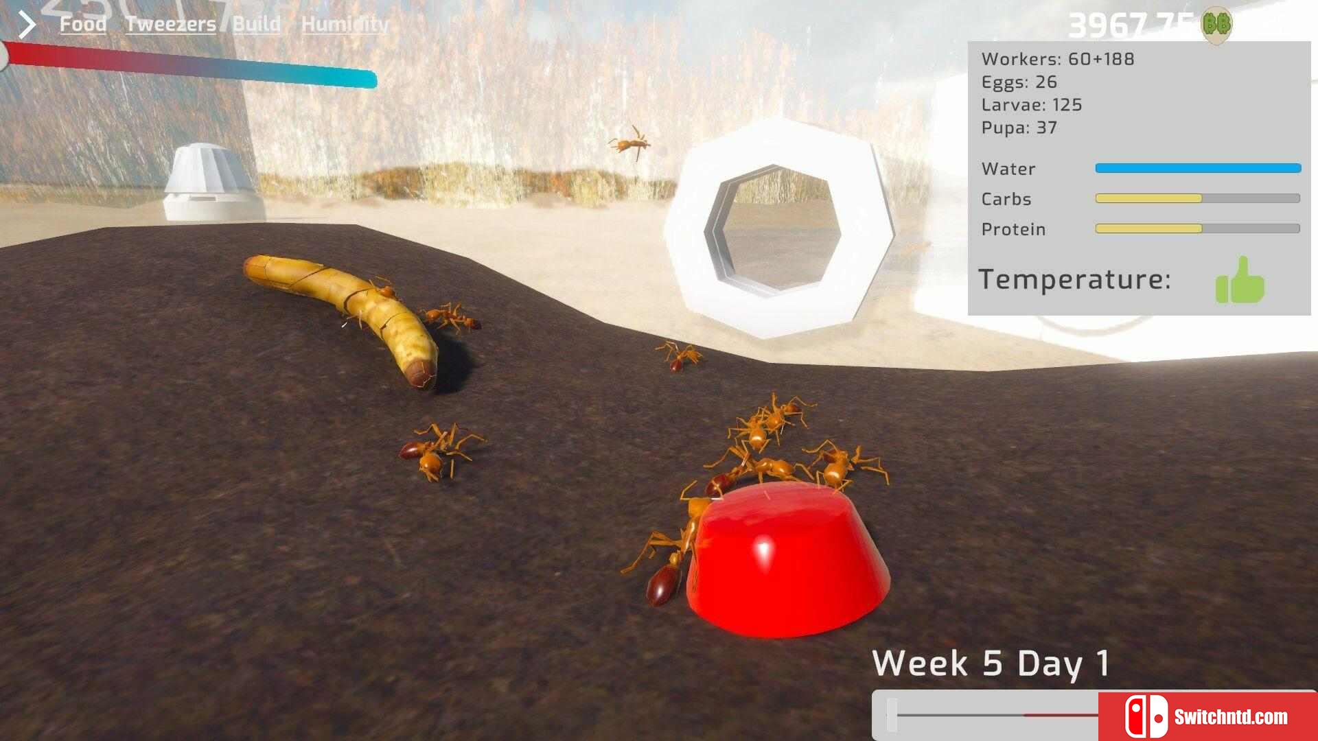 《养蚁模拟器（Ant Keeping Simulator）》Build 15236372 P2P硬盘版[EN]_2