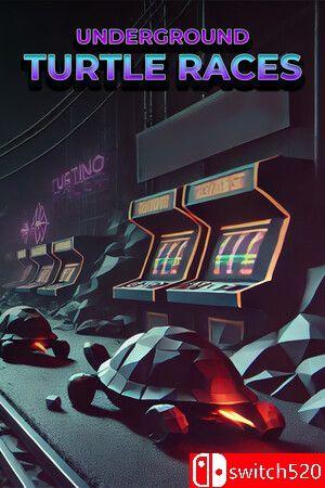 《地下龟速竞赛（Underground Turtle Races）》TENOKE镜像版[EN]