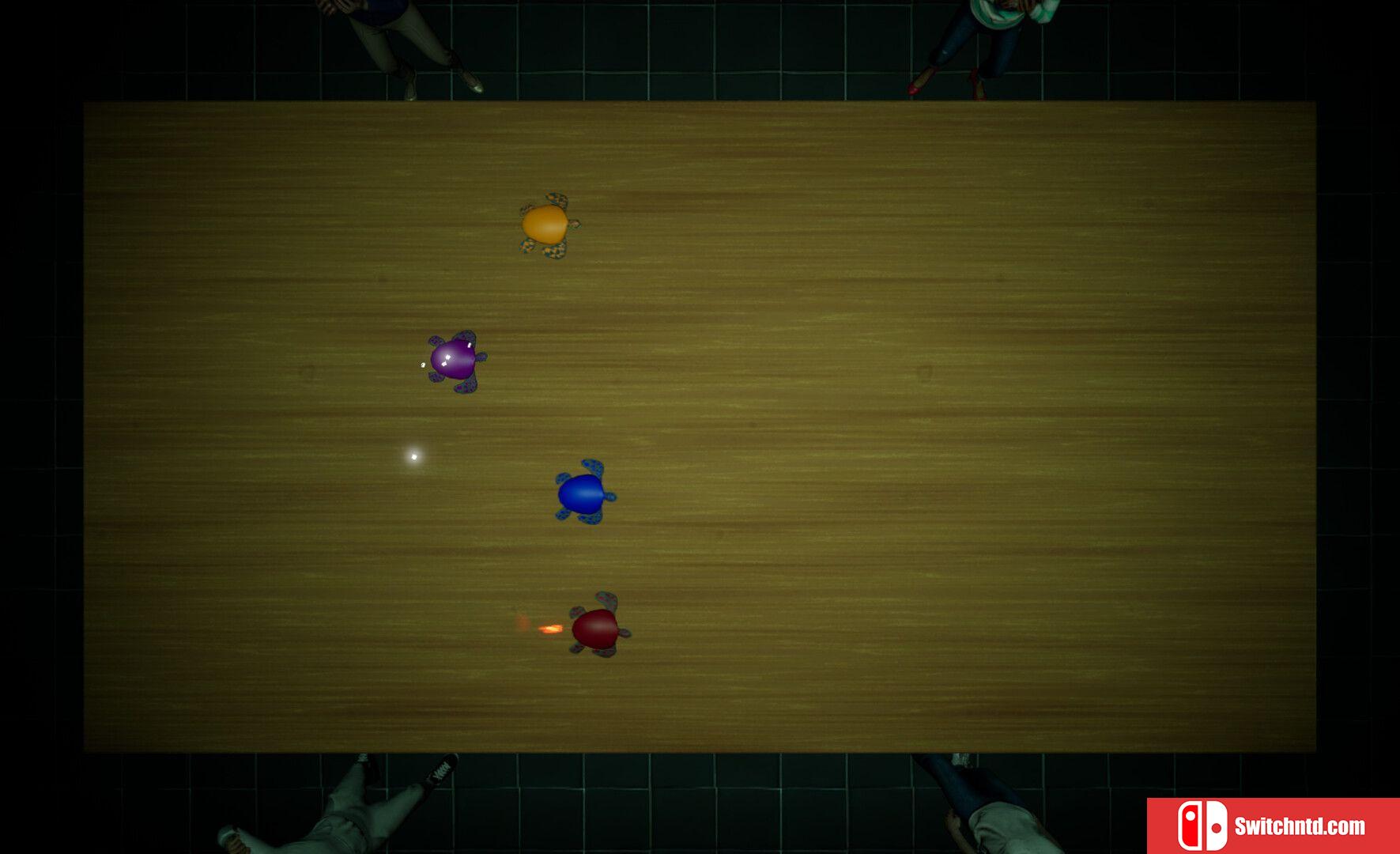 《地下龟速竞赛（Underground Turtle Races）》TENOKE镜像版[EN]_5