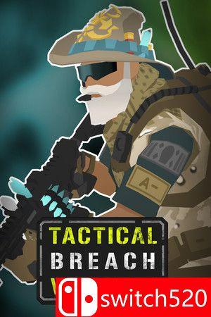 《战术突破巫师（Tactical Breach Wizards）》TENOKE镜像版[EN]
