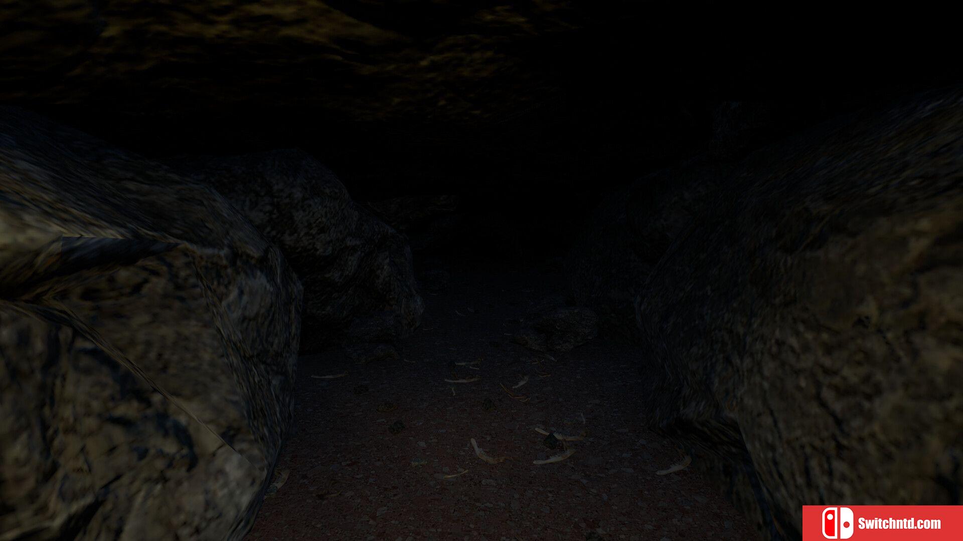 《恐怖露营（Creepy Camping）》TENOKE镜像版[EN]_4