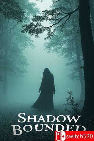 《影域封锁（Shadow Bounded）》TENOKE镜像版[EN]