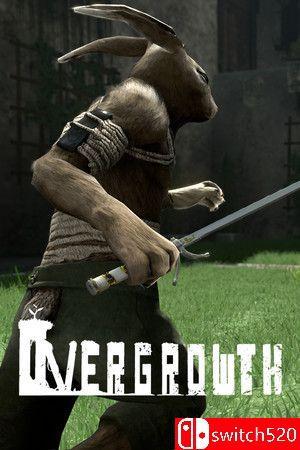 《过度生长（Overgrowth）》v3450449 P2P硬盘版[EN]