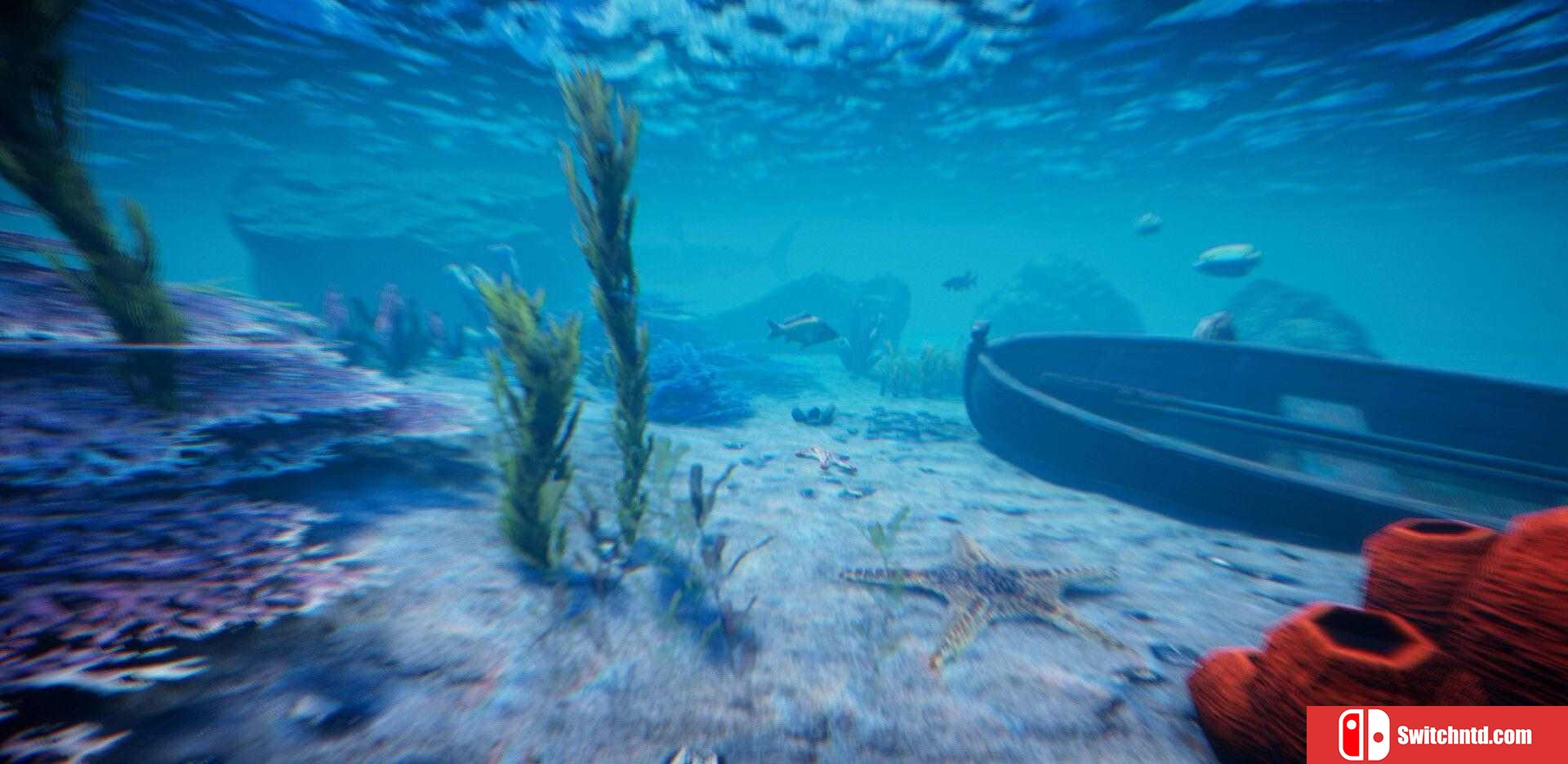 《荒岛求生计划（Project Castaway）》Early Access P2P硬盘版[EN]_1