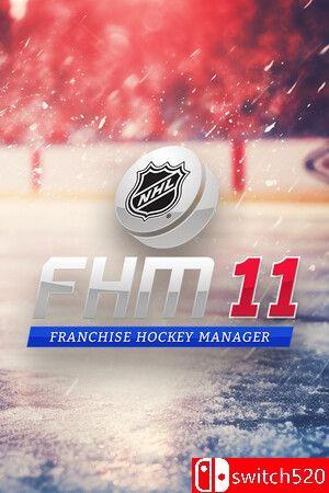 《特许经营曲棍球经理11（Franchise Hockey Manager 11）》TENOKE镜像版[EN]