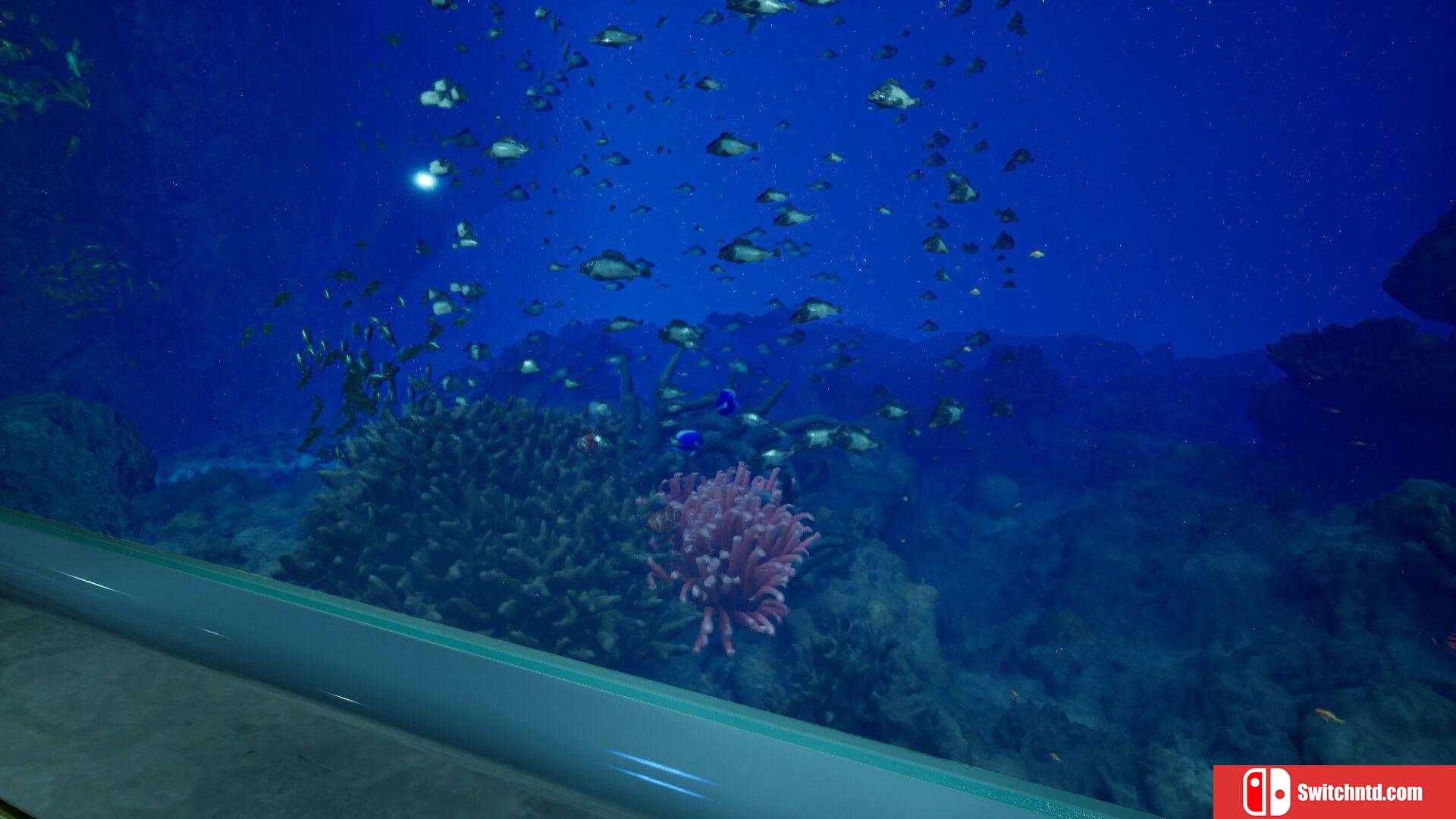 《8月32日的水族館（Aquarium at August 32nd）》TENOKE镜像版[EN/JP]_4