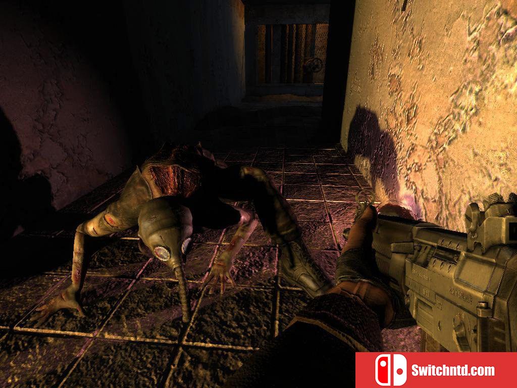 《潜行者：切尔诺贝利的阴影（S.T.A.L.K.E.R.: Shadow of Chernobyl）》DINOByTES镜像版[TW/EN]_5