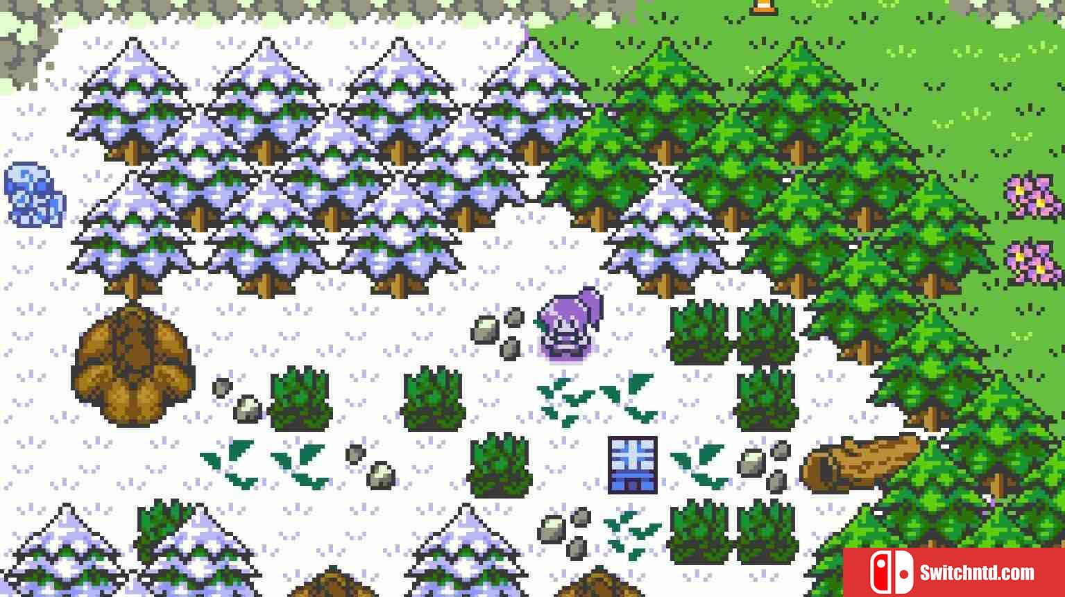 《多奇梦：冒险（Dokimon: Quest）》Build 16508629 P2P硬盘版[EN/JP]_5