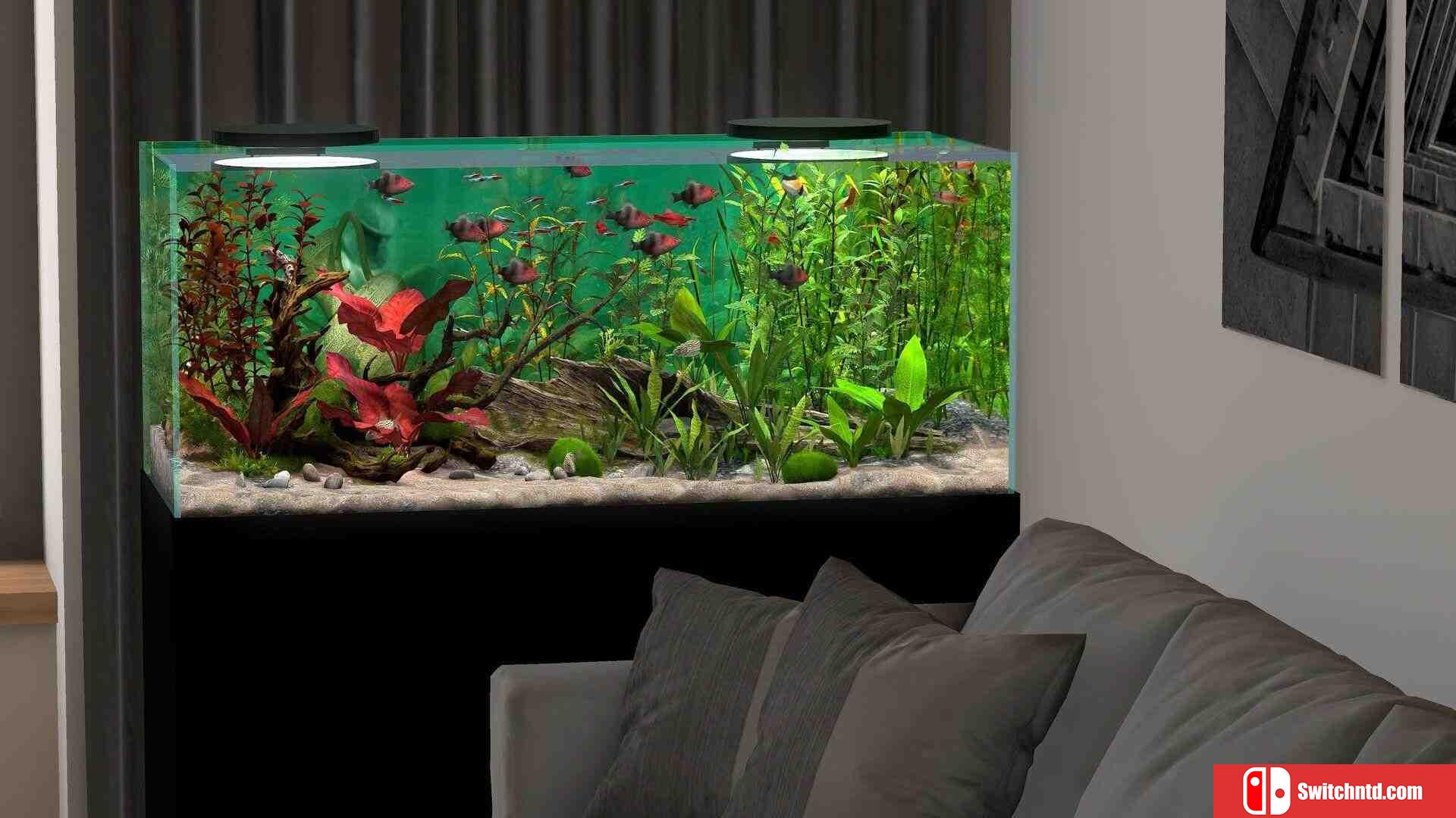 《玻璃背后：水族馆模拟器（Behind Glass: Aquarium Simulator）》TENOKE镜像版[EN/JP]_3